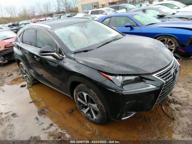 LEXUS NX 2021 jtjgardz9m2241085