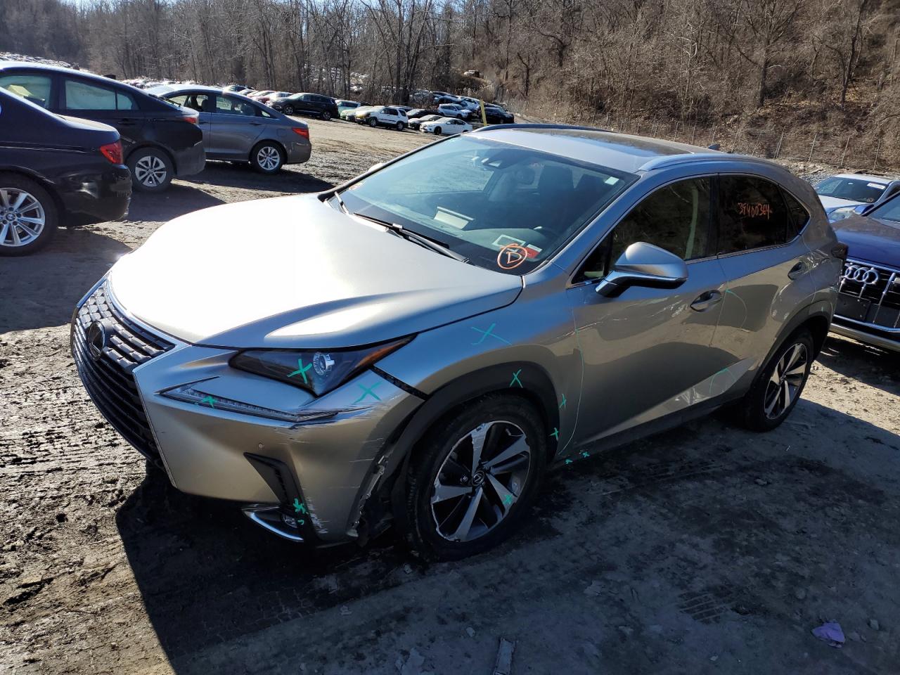 LEXUS NX 2021 jtjgardz9m2247811