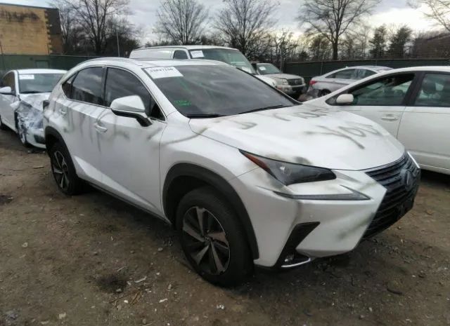 LEXUS NX 2021 jtjgardz9m5030435