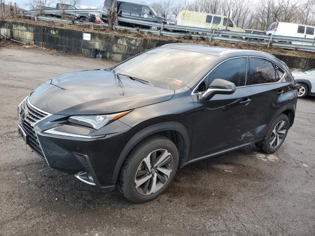 LEXUS NX 2021 jtjgardz9m5032122