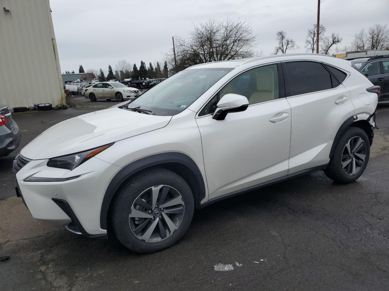 LEXUS NX 2020 jtjgardzxl2222723