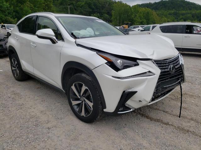 LEXUS NX 300 2020 jtjgardzxl5017627