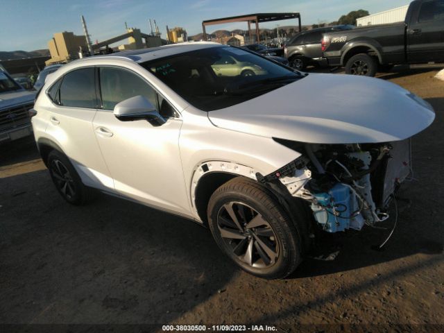 LEXUS NX 300 2021 jtjgardzxm5023638