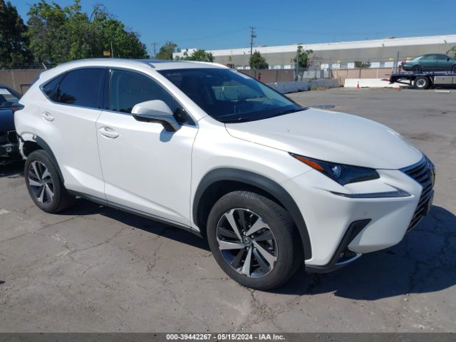 LEXUS NX 300 2021 jtjgardzxm5029147