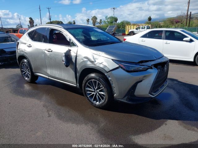 LEXUS NX 250 2023 jtjgdcaz0p2007589