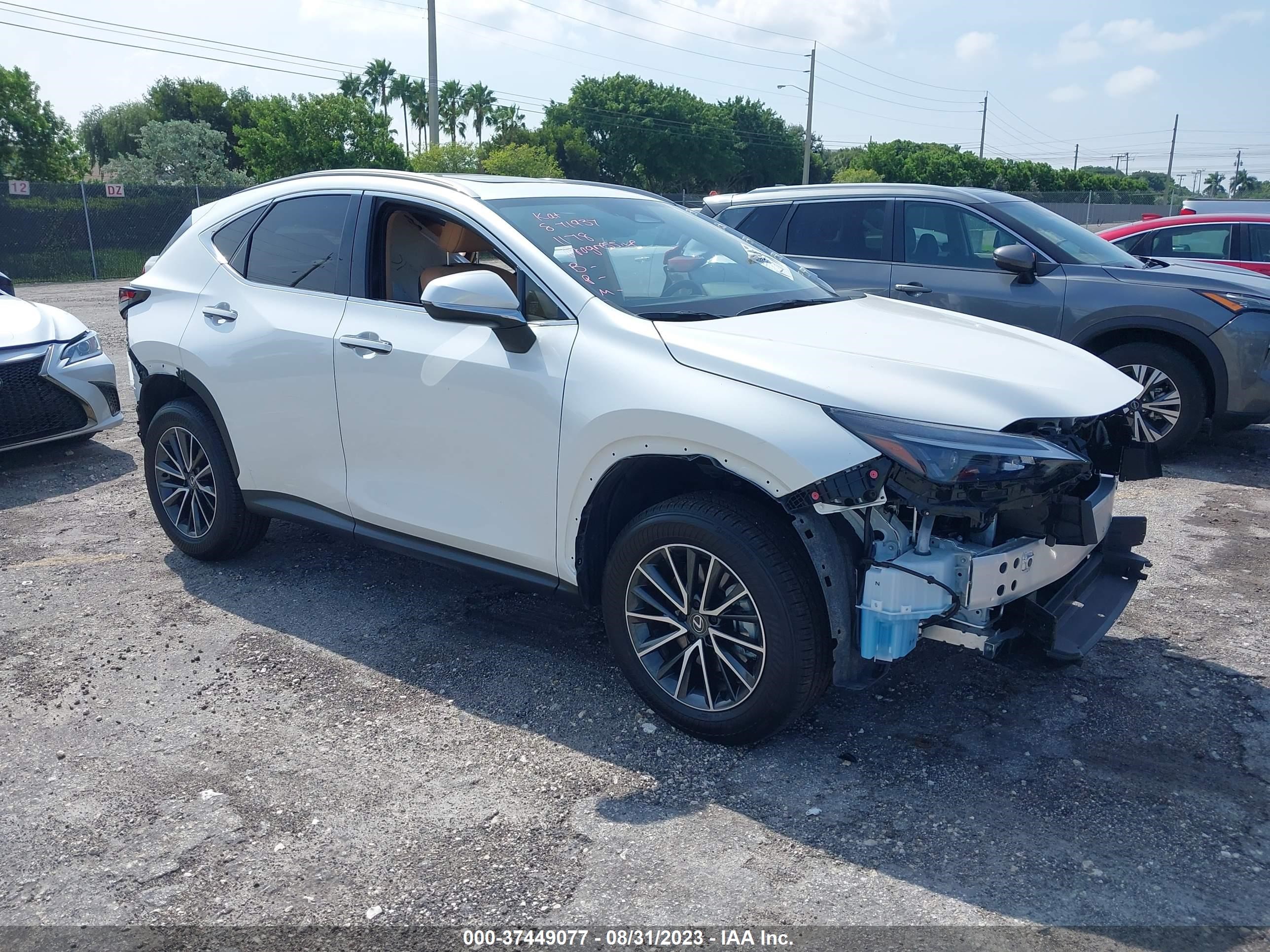 LEXUS NX 2024 jtjgdcaz0r2008048