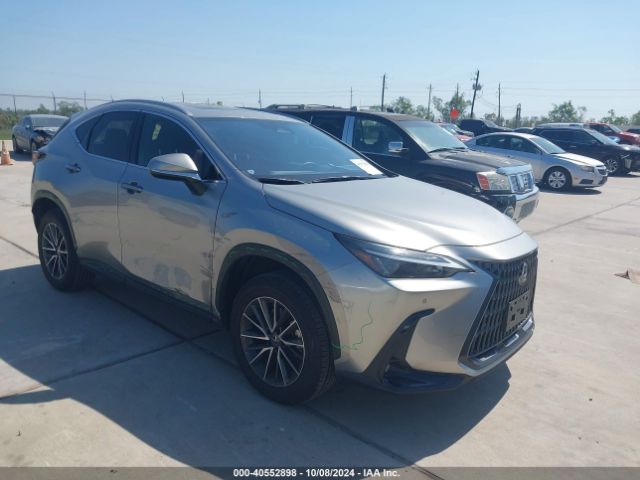 LEXUS NX 2024 jtjgdcaz0r5022272