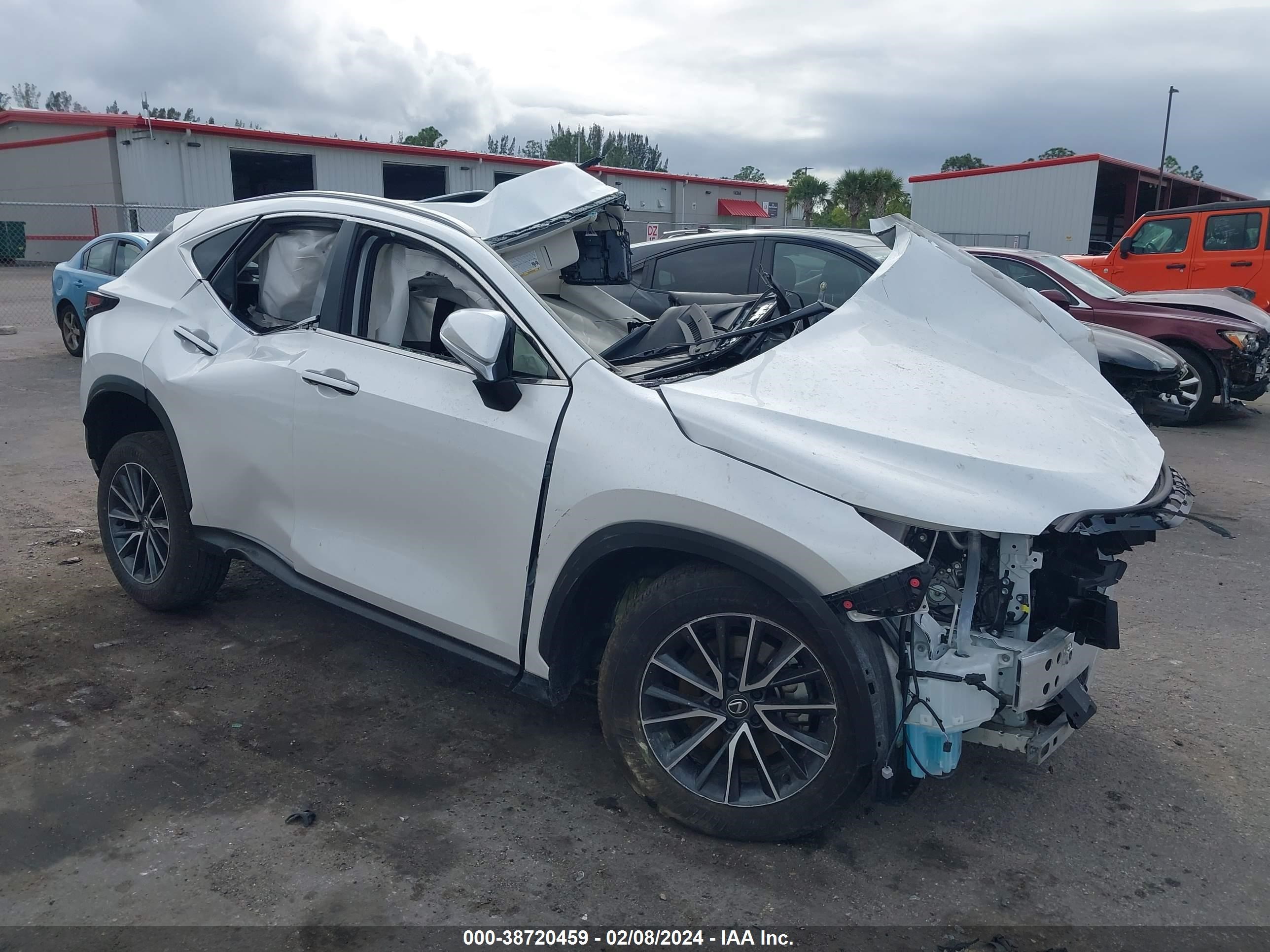 LEXUS NX 2024 jtjgdcaz2r5018160