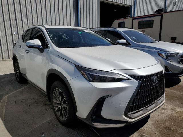 LEXUS NX 250 2022 jtjgdcaz3n5000664