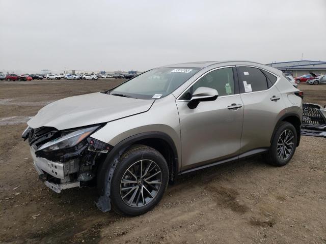 LEXUS NX 250 2023 jtjgdcaz3p5011859