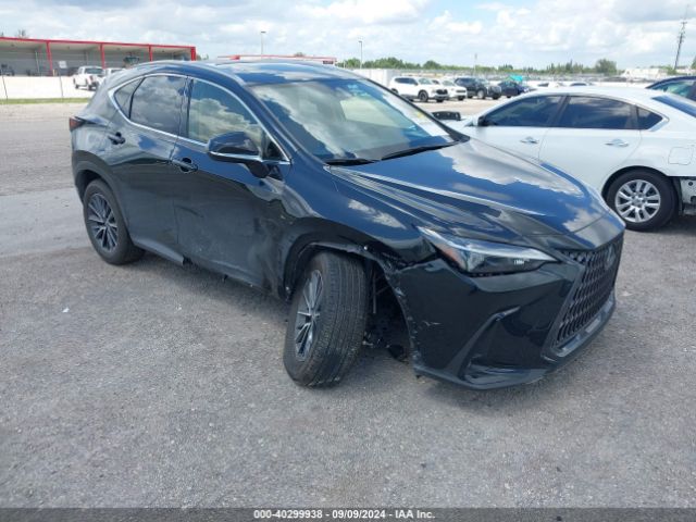 LEXUS NX 2024 jtjgdcaz3r5022282