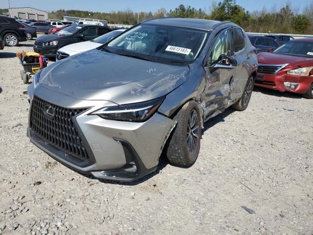 LEXUS NX 250 2023 jtjgdcaz4p5010929