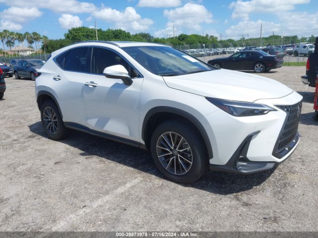 LEXUS NX 250 2024 jtjgdcaz4r2014290