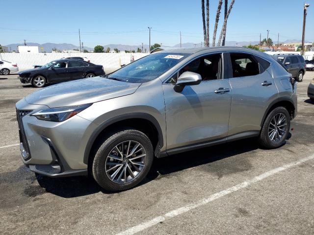 LEXUS NX 250 PRE 2024 jtjgdcaz4r5015471