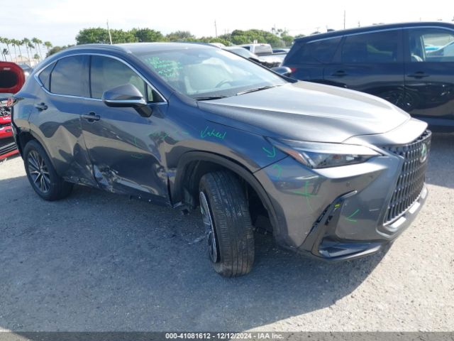 LEXUS NX 2024 jtjgdcaz5r2013892