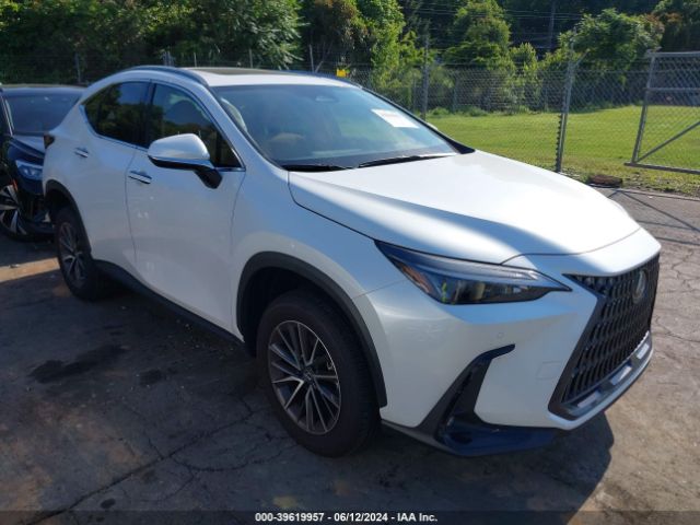 LEXUS NX 2024 jtjgdcazxr5017824