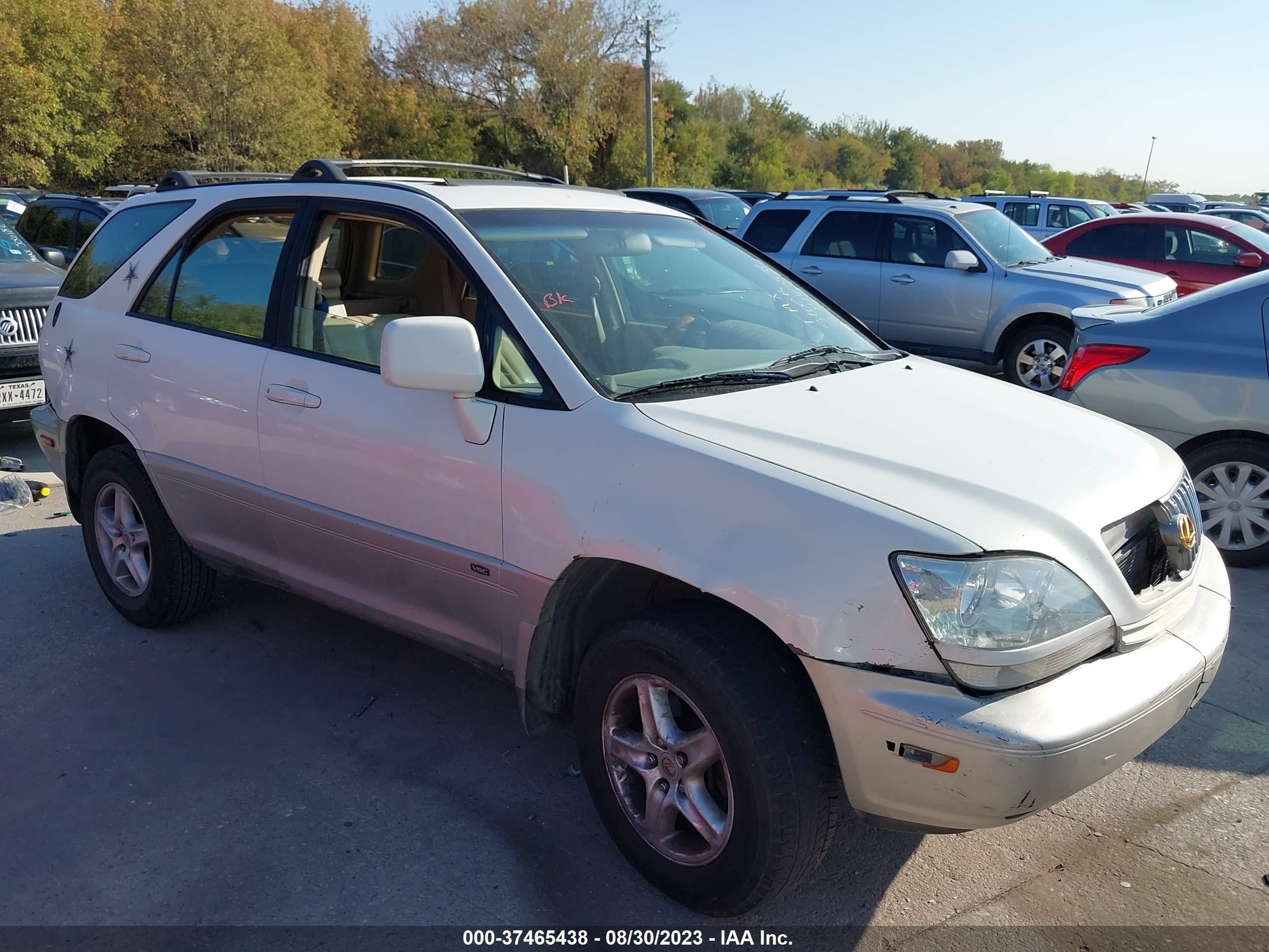 LEXUS RX 2001 jtjgf10ux10101082