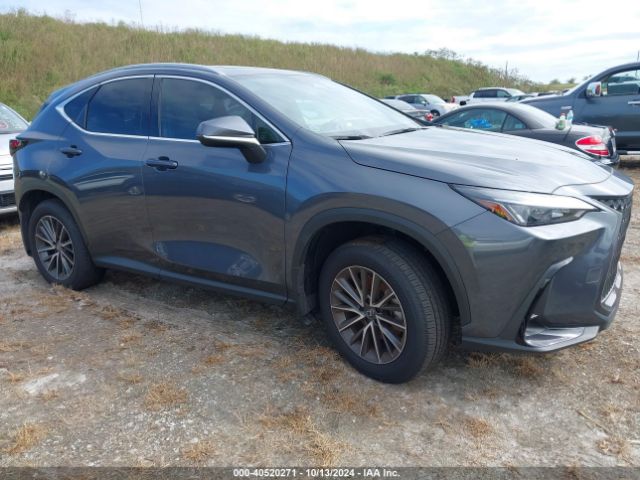 LEXUS NX 2024 jtjggcez5r5009972