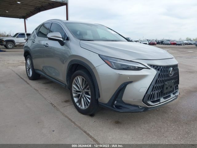 LEXUS NX 350 2022 jtjggcez6n2005702