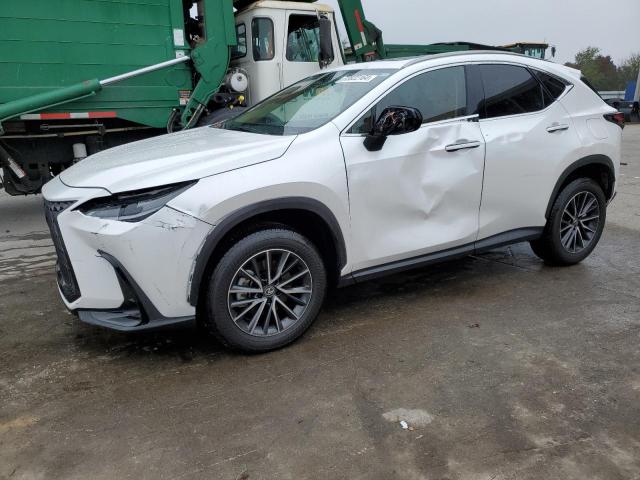 LEXUS NX 350 PRE 2025 jtjggcez6s5010795