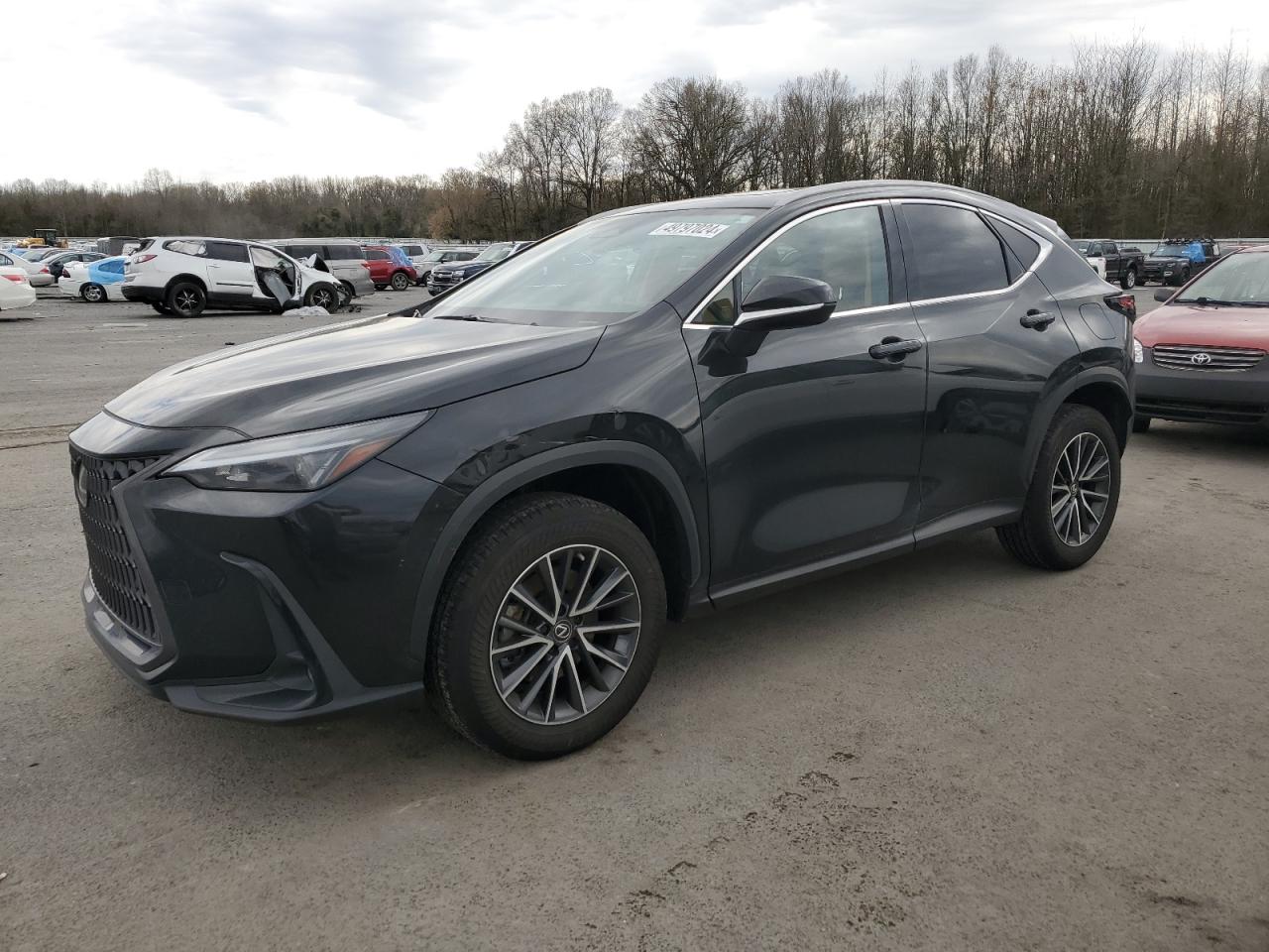 LEXUS NX 2022 jtjggcez8n5001858