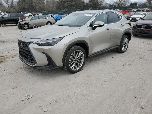 LEXUS NX 350 2022 jtjggcez9n5001903