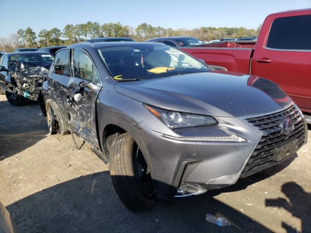 LEXUS NX 300H 2020 jtjgjrdz1l2135082