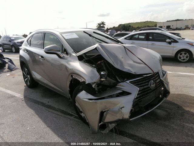 LEXUS NX 2021 jtjgjrdz1m2162171