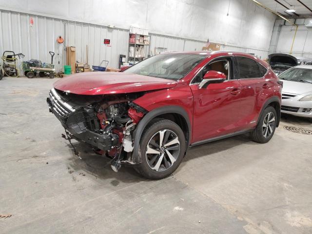 LEXUS NX 2021 jtjgjrdz1m5013810