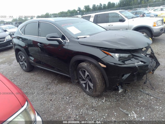 LEXUS NX 2020 jtjgjrdz2l2139013