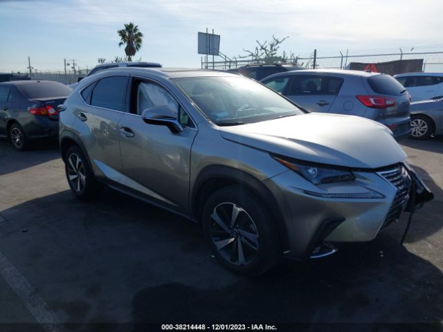 LEXUS NX 2020 jtjgjrdz2l2139660