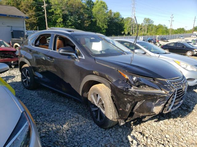 LEXUS NX 300H 2020 jtjgjrdz2l2140128