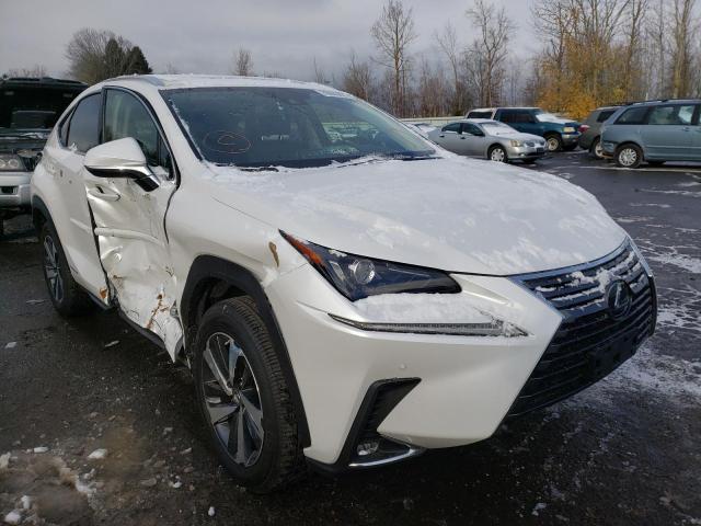 LEXUS NX 2020 jtjgjrdz2l5004371