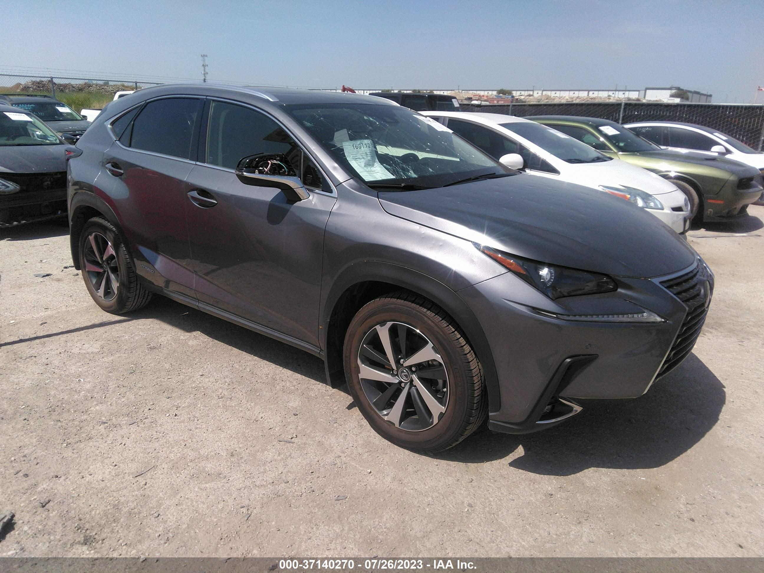 LEXUS NX 2020 jtjgjrdz2l5005813