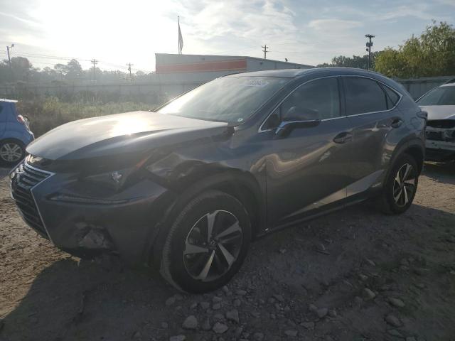 LEXUS NX 2021 jtjgjrdz2m2152670