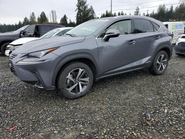 LEXUS NX 2021 jtjgjrdz2m2159327