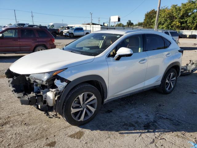 LEXUS NX 2021 jtjgjrdz2m5014304