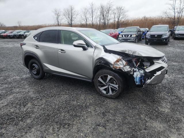 LEXUS NX 2020 jtjgjrdz3l2133639