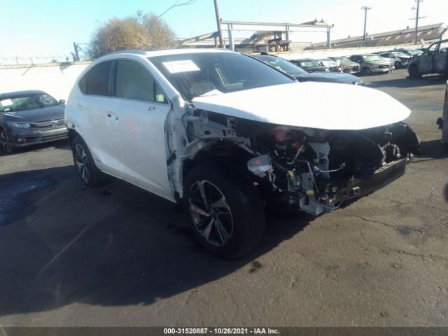 LEXUS NX 2020 jtjgjrdz3l5001849