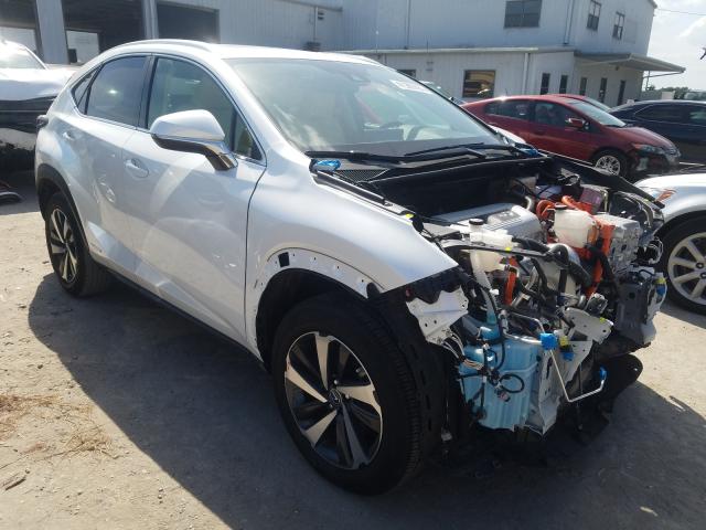 LEXUS NX 300H 2020 jtjgjrdz3l5004217