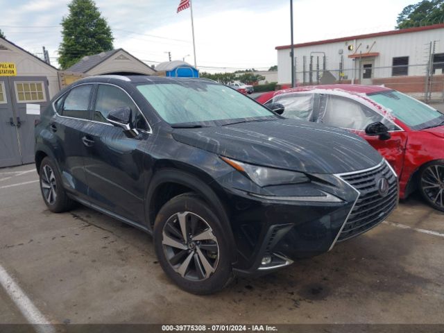 LEXUS NX 2021 jtjgjrdz3m2161457