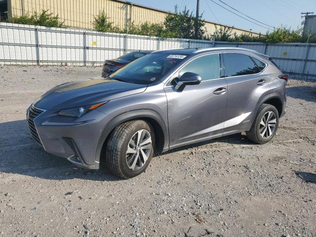 LEXUS NX 300H 2020 jtjgjrdz4l2129065