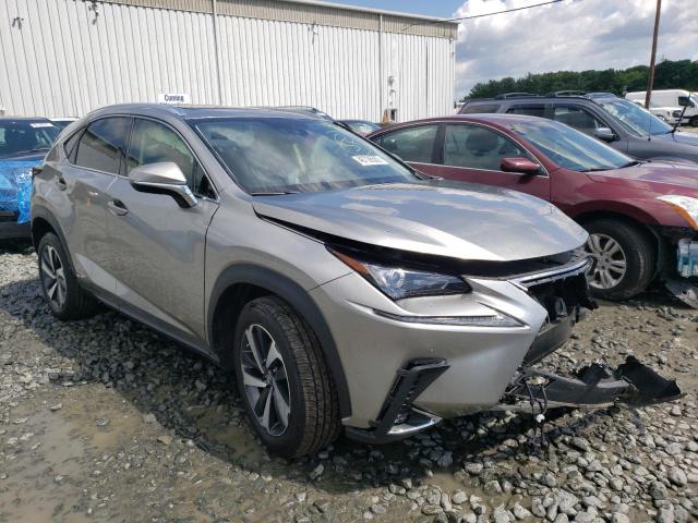 LEXUS NX 2020 jtjgjrdz4l2129115