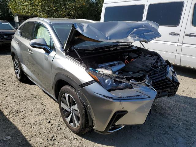 LEXUS NX 300H 2020 jtjgjrdz4l2130989