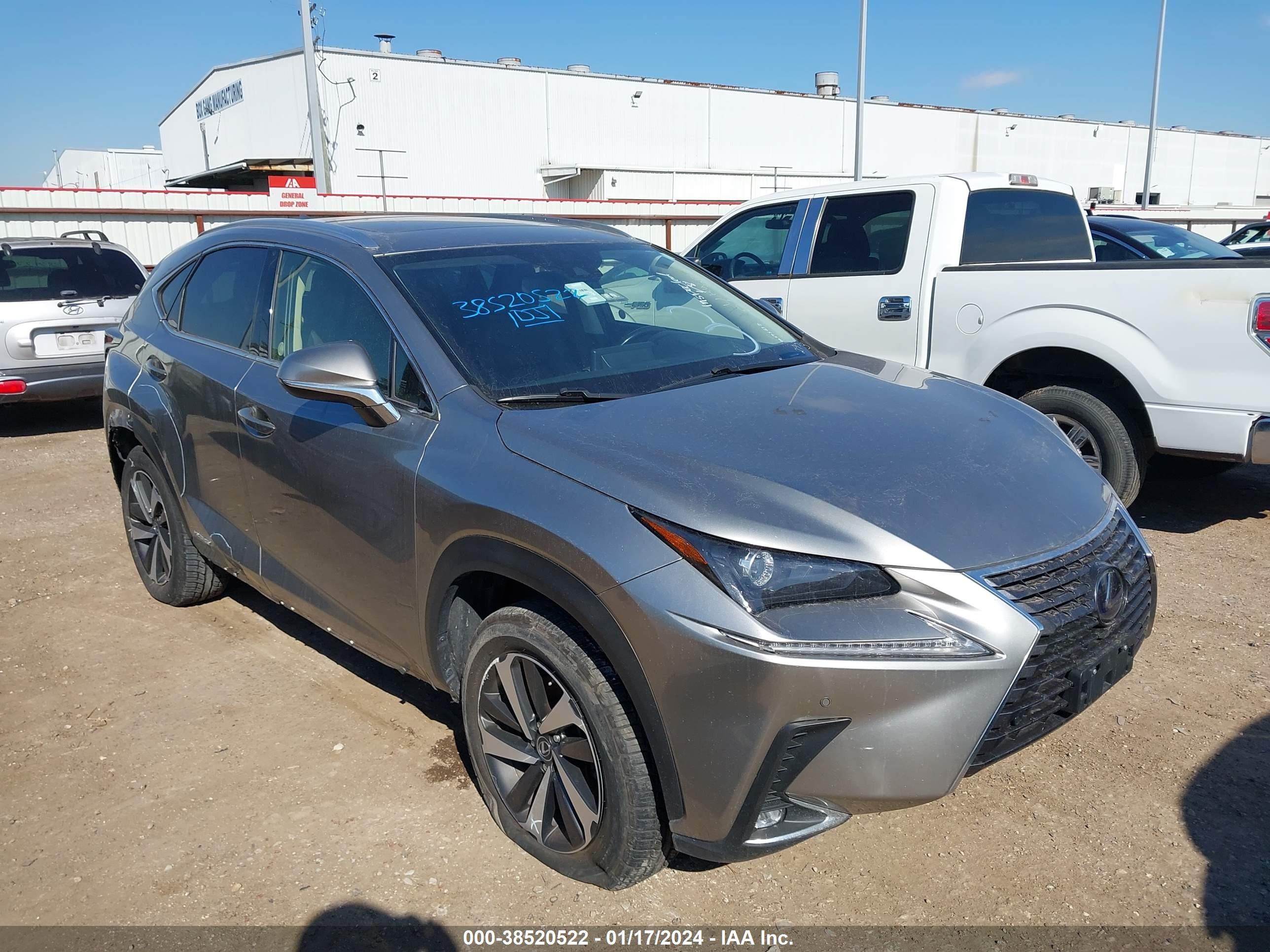 LEXUS NX 2020 jtjgjrdz4l2132953