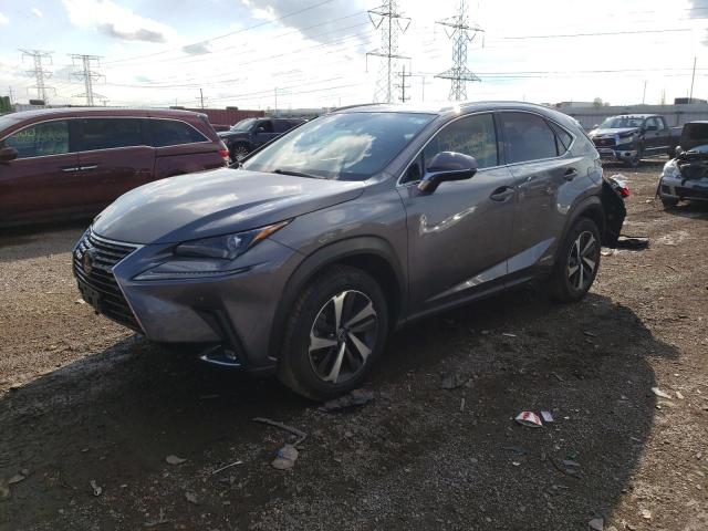 LEXUS NX 300H 2020 jtjgjrdz4l2133892