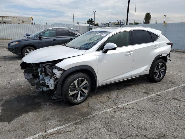 LEXUS NX 300H 2020 jtjgjrdz4l5009278