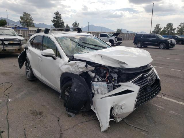 LEXUS NX 300H 2020 jtjgjrdz4l5009927