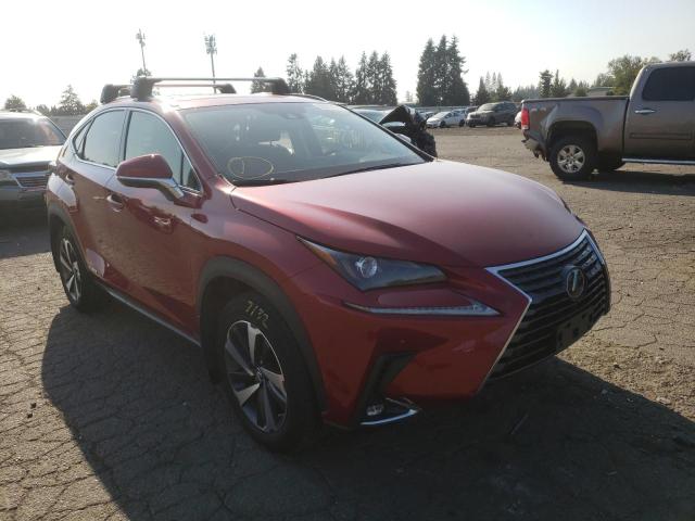 LEXUS NX 300H 2020 jtjgjrdz4l5010138