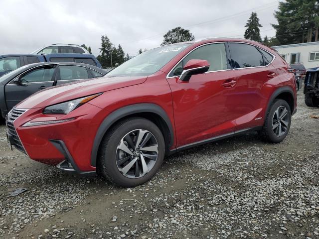 LEXUS NX 300H 2020 jtjgjrdz4l5010270